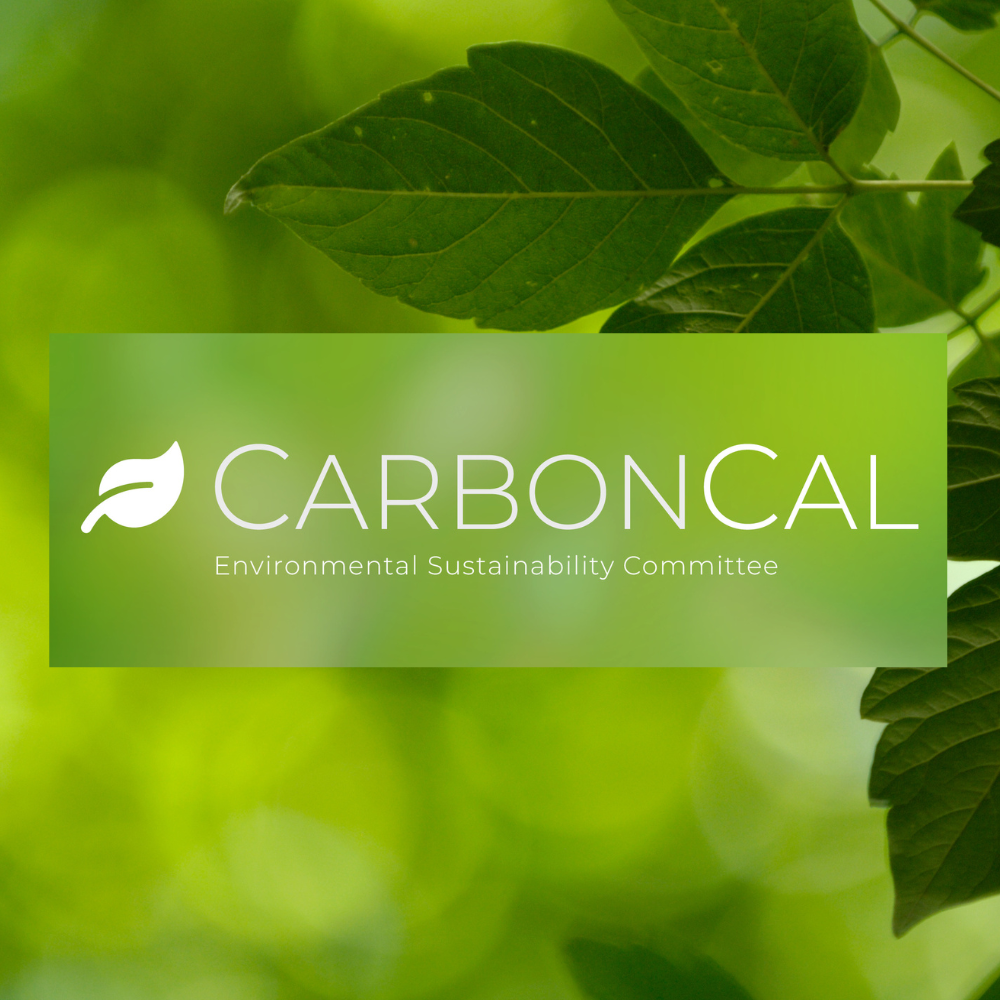 CarbonCal – Matheson's Carbon Footprint Tracking App