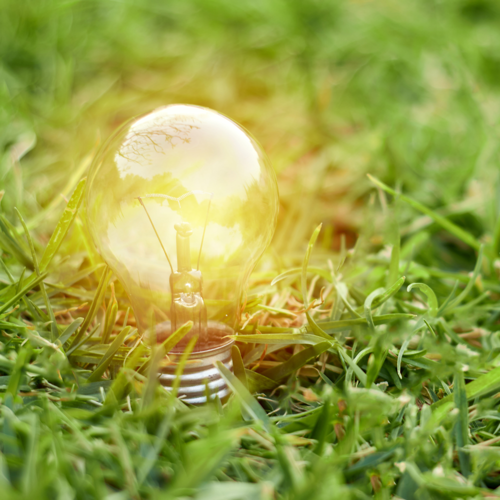 Waste, Environment and the Circular Economy