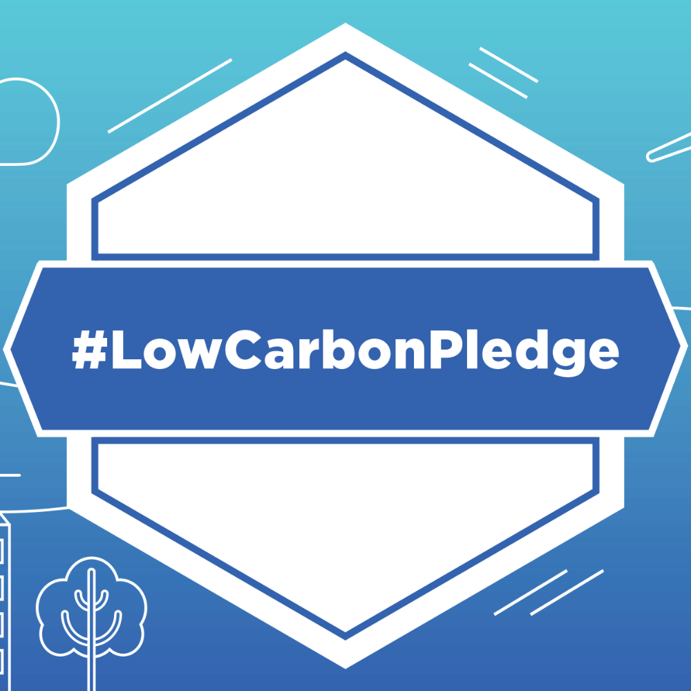 Science-based Targets - Business in the Community Ireland Low Carbon Pledge.