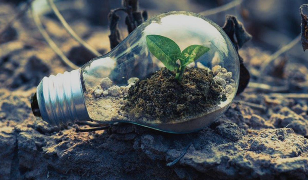 Philanthropy and Charities