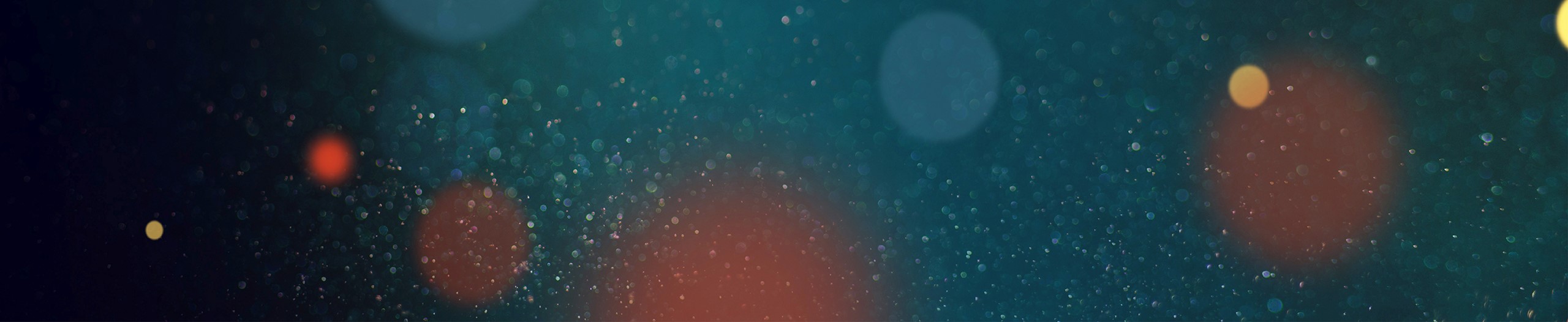 Private Equity desktop banner