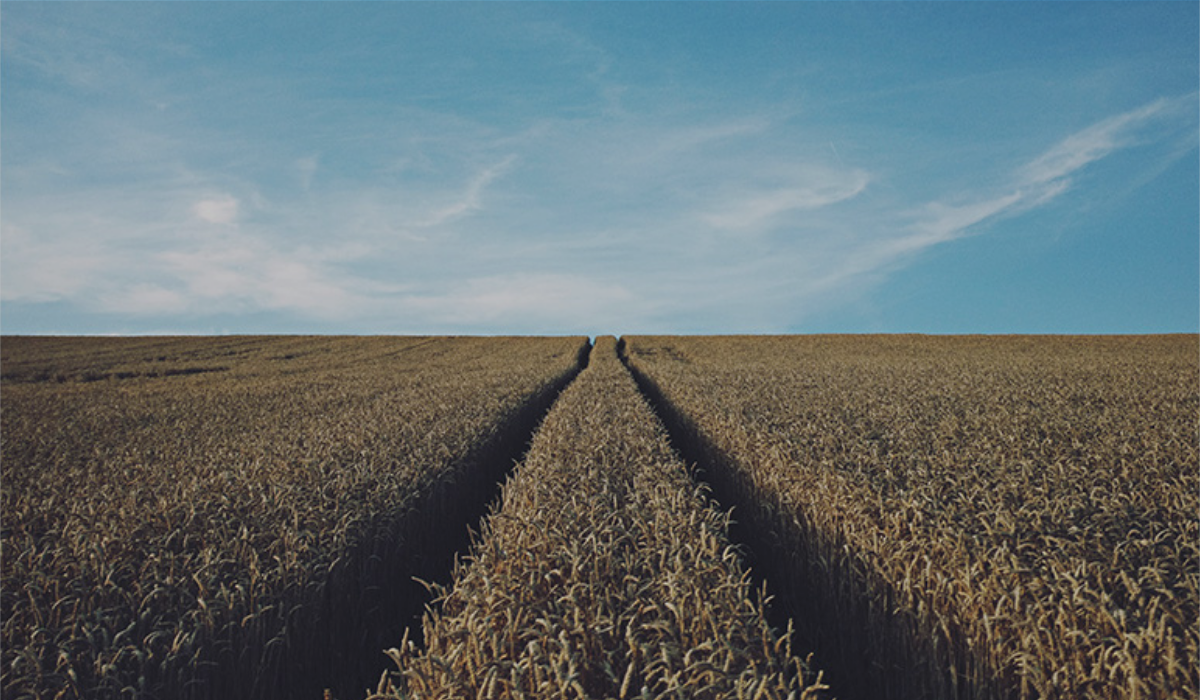 Tax Planning for Individuals