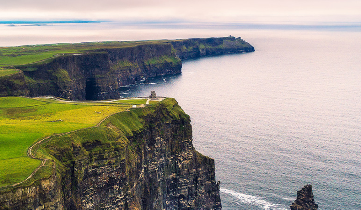 Tax and Immigration Relocation Services