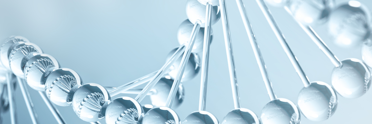 Healthcare M&A Transactions