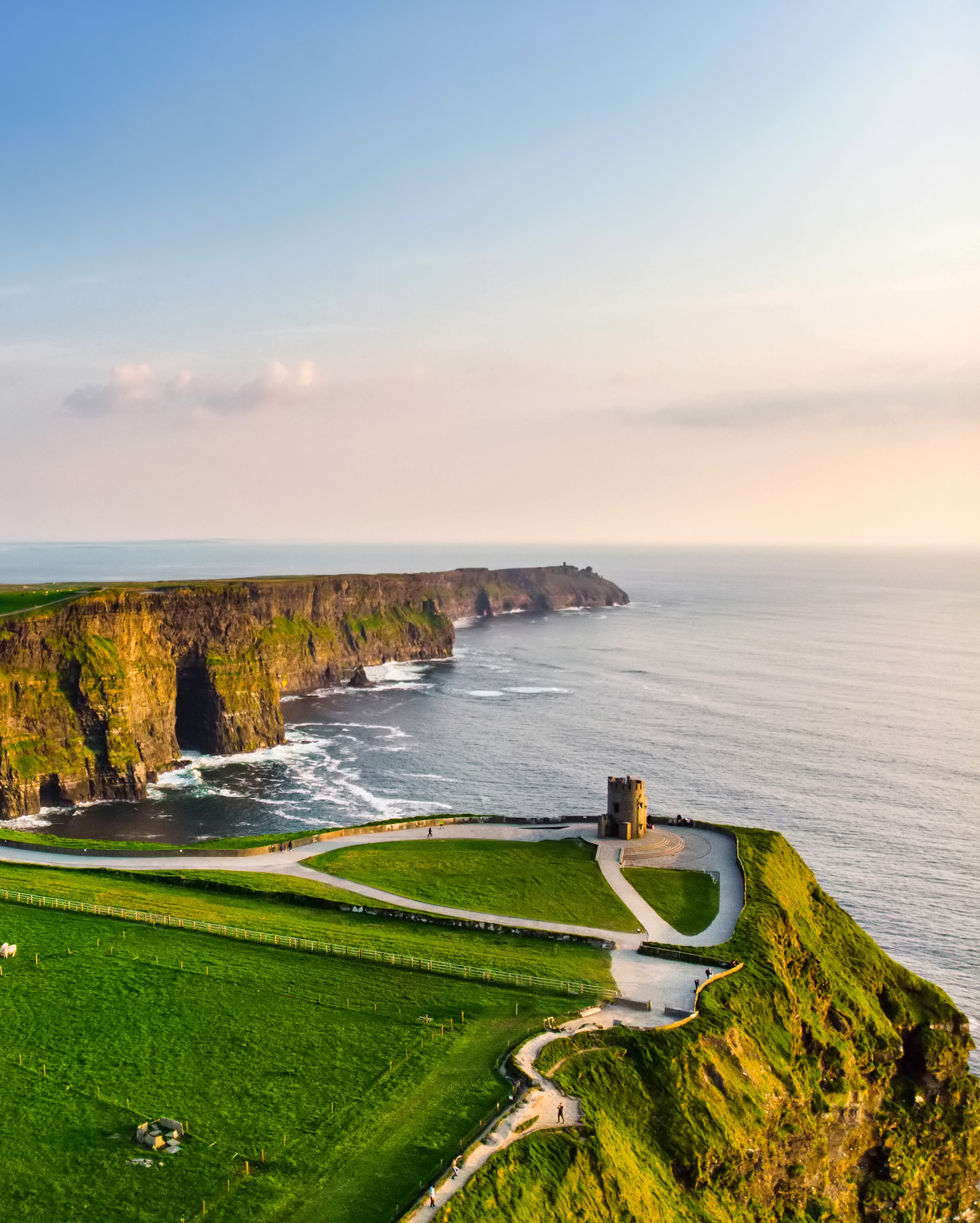 Image for Routes to Irish Citizenship