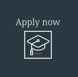 Apply here for this opportunity 